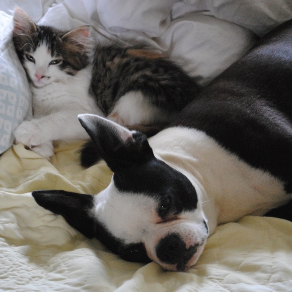 "Like" this listing to bookmark my closet!!!!!! - Picture 4 of 6